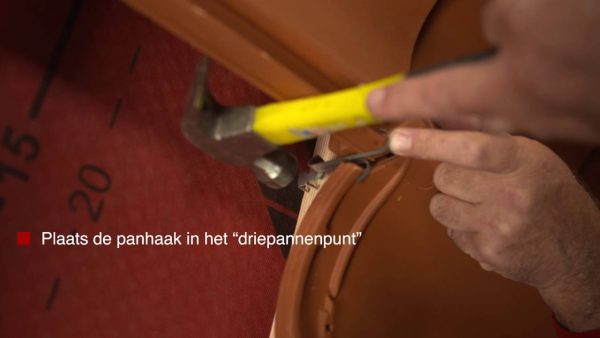 Referentiefoto Twintikker panhaak
