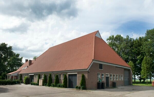 De Nieuwe Hollander-V natuurrood